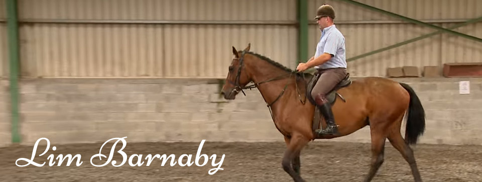 David McCarthy Hunt and Sport Horses Ireland
