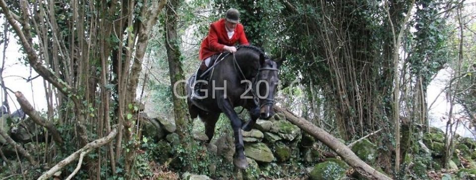 Hennessy - David McCarthy hunt horses, Ireland