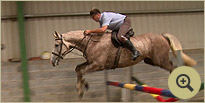 Fiacra - Horse Breeders Ireland