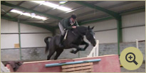 Horse Breeders Ireland